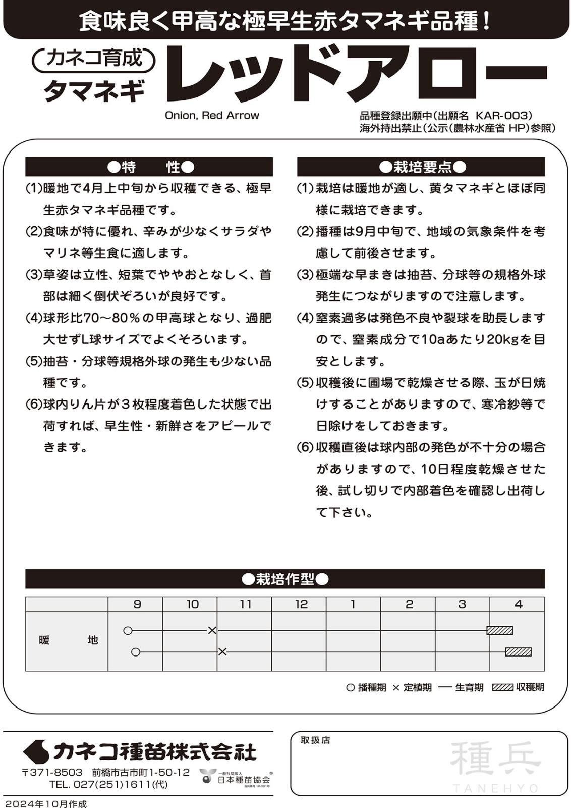 極早生赤タマネギ 種 『レッドアロー』 カネコ種苗 | たね,根菜の種