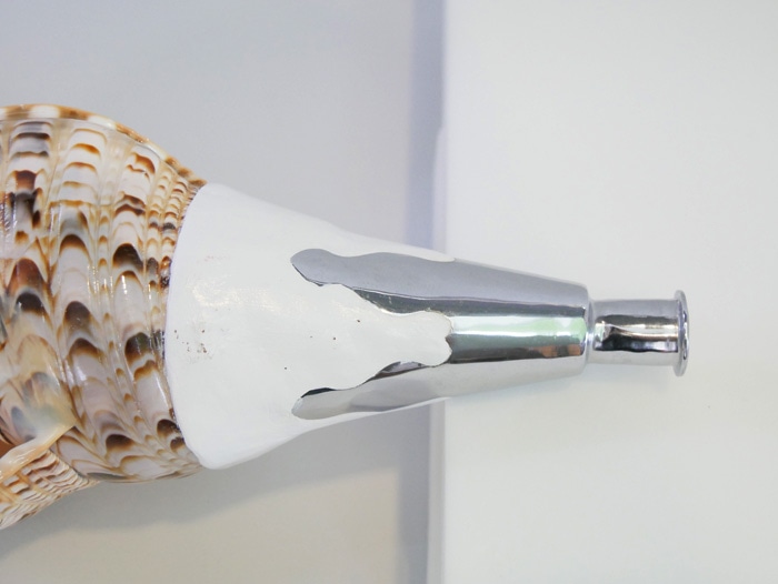 法螺貝・歌口付 サイズ35cm-37cm 真言タイプ | 鳴り物,法螺貝 通販なら