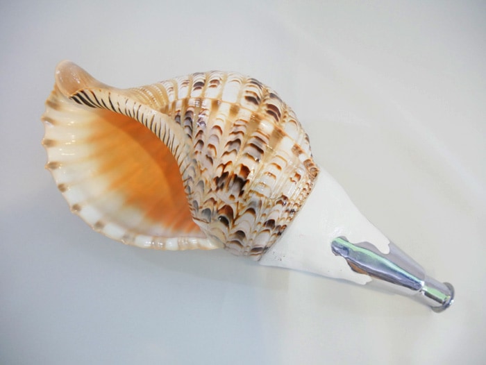 法螺貝 | 鳴り物,法螺貝の通販なら和楽器モール｜和太鼓やバチ、篠笛