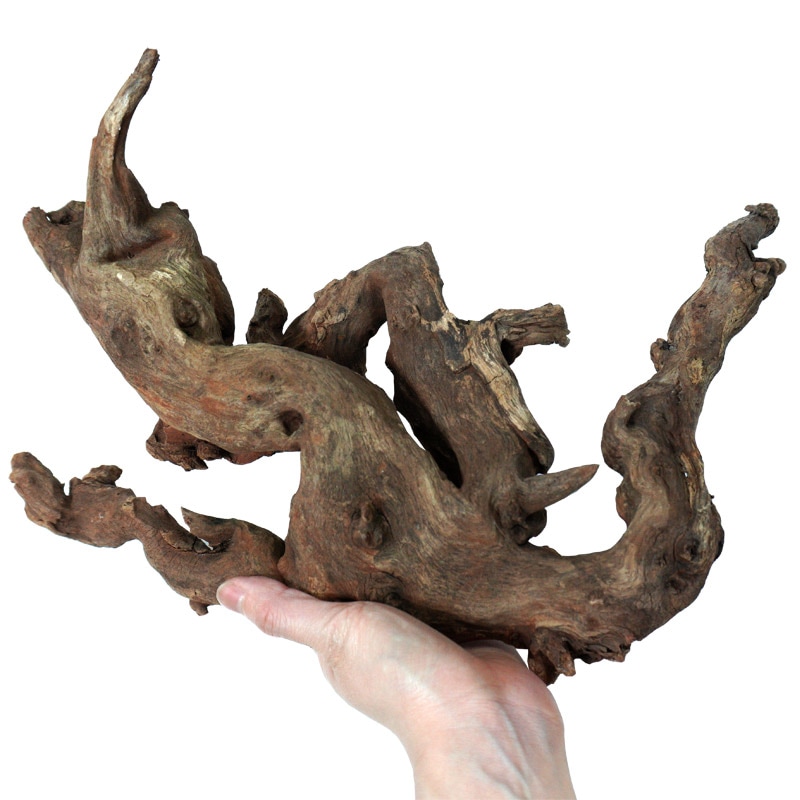 デルフィス リベラ流木 ウッドサージ90cm水槽用セレクトSET