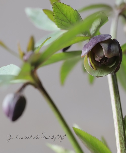 7_000000012817.jpg?1678209903