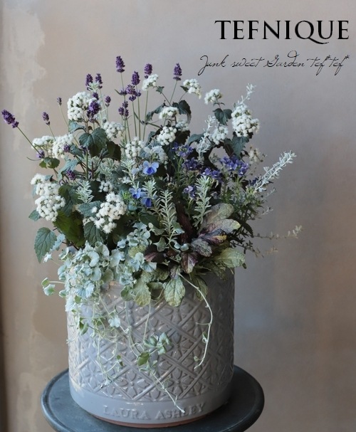 イングリッシュラベンダー『ラバンス・ ディープパープル』 | すべての