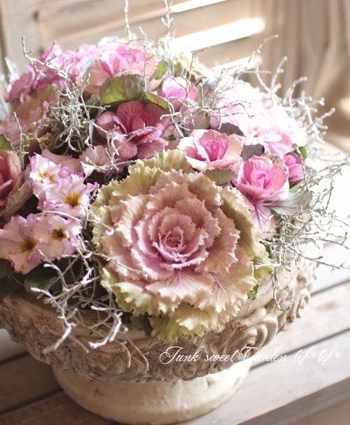 アンティークな大人ピンクの寄せ植え 1点もの】大人ピンクアラモードの寄せ植え - ichirinka-87 | minne