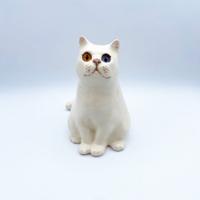 ウィンスタンレイキャット オッドアイのスコティッシュの白猫ちゃん