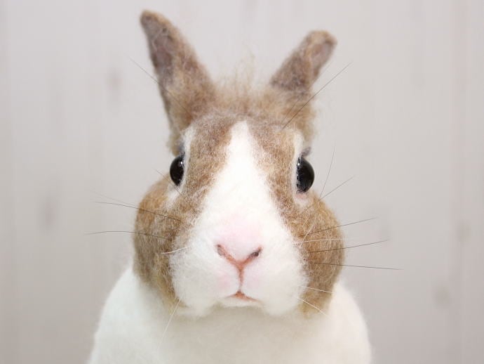 棚からうさもち ／大きな羊毛うさぎ（ダッチカラー）② | ≪終了企画