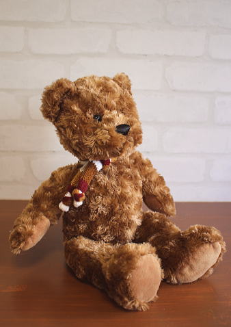 Clemens （ドイツ生まれのテディベア ブランド、クレメンス）・テディ