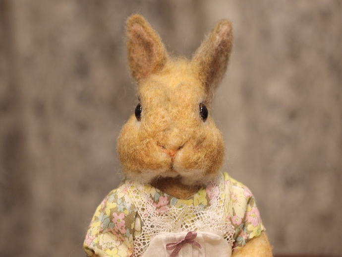 棚からうさもち/【エプロンドレスの茶色うさぎ】 | ≪終了企画