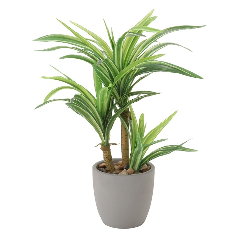 インテリアグリーン P311-PU394/52L ユッカGY if HOMEの通販｜東京