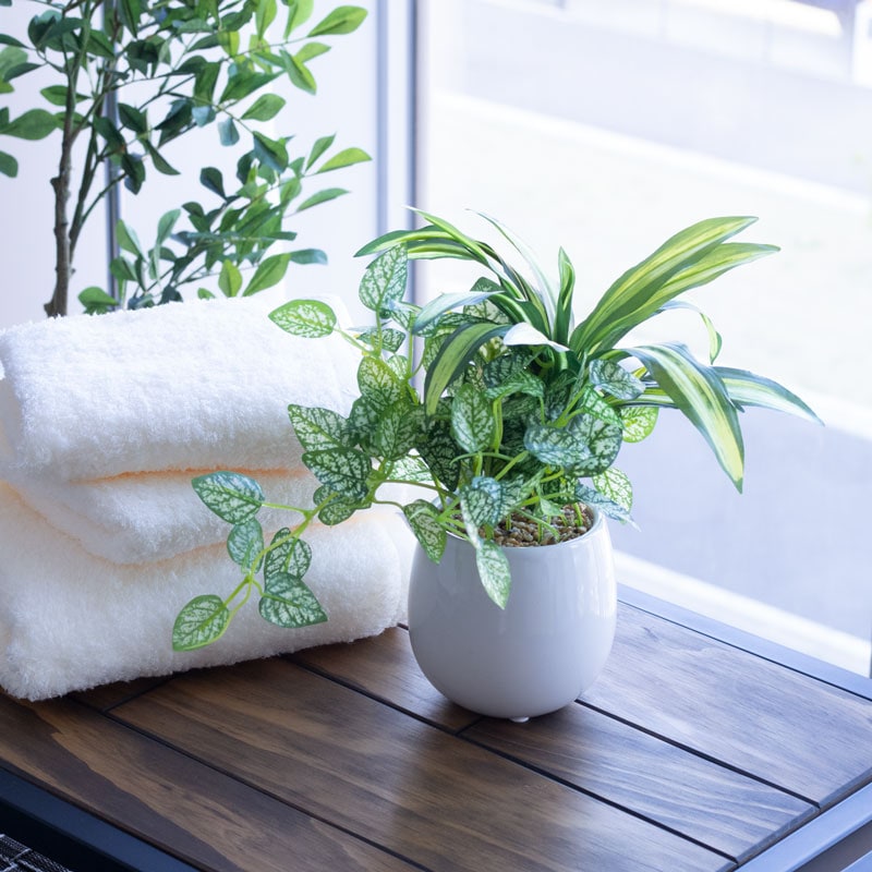 インテリアグリーン ドラセナ寄せ植え F370-S127/8368L if HOMEの通販