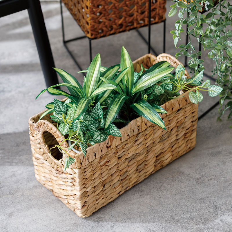 インテリアグリーン ドラセナ寄せ植え F370-S127/8368L if HOMEの通販