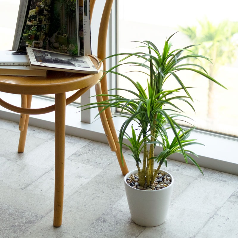 インテリアグリーン MユッカWH FW273-PU557/134Lの通販｜東京