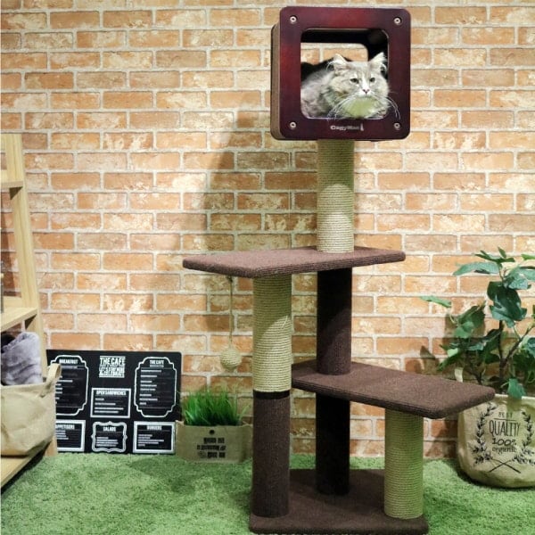 キャットタワー｜モダンルームスクラッチ ミディアムH120