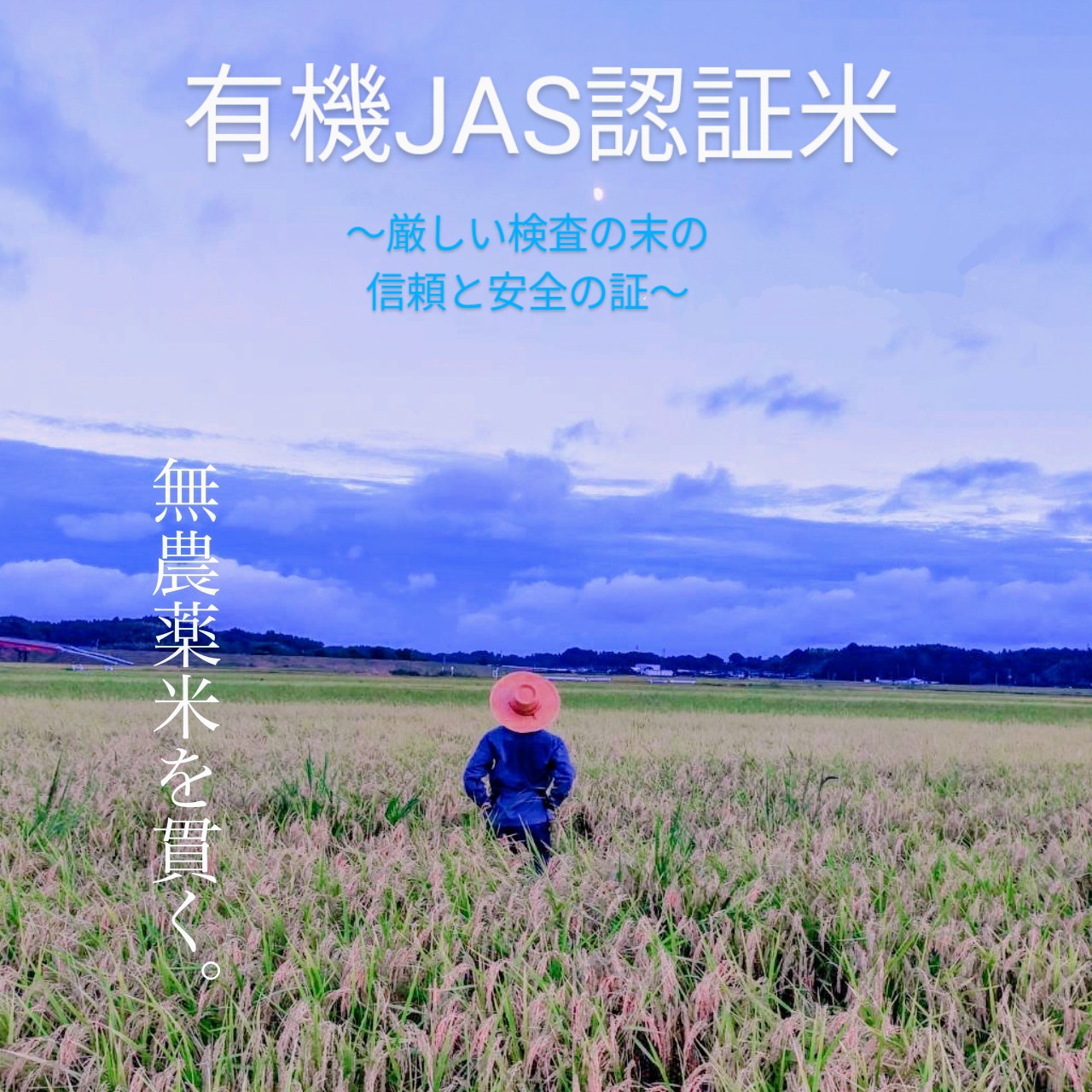 有機JAS認証、井戸水で作った【こだわりの山田米】（玄米5kg