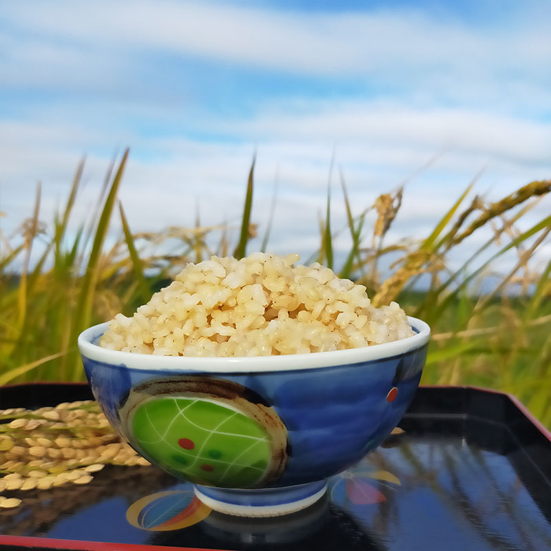 有機JAS認証、井戸水で作った【こだわりの山田米】（玄米5kg