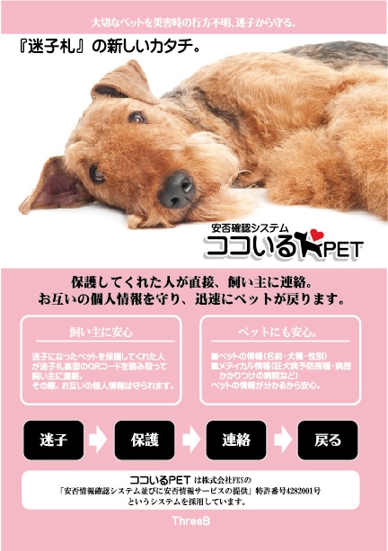 迷子札 QRコード迷子札 【ココいるPET】BambooAngel犬種別 日本初の画