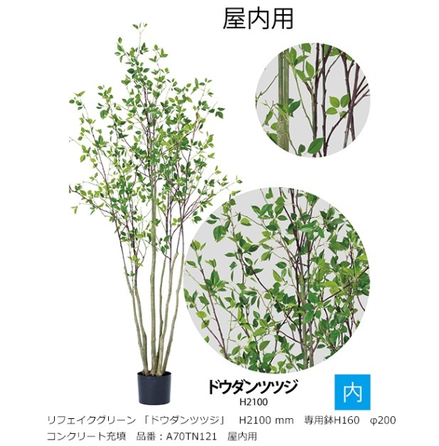 リフェイクグリーン 「ドウダンツツジ」H2100mm 専用鉢H160 φ200