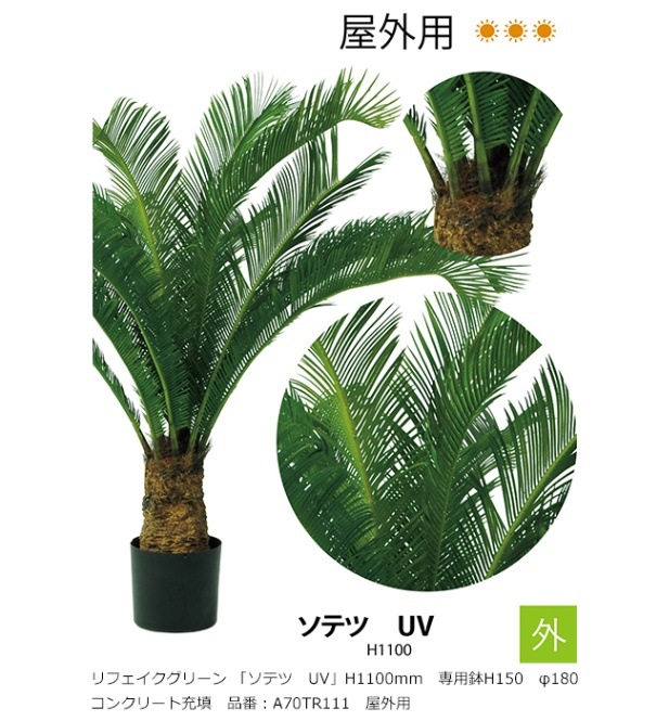 リフェイクグリーン 「ソテツ UV」H1100mm 専用鉢H150 φ180