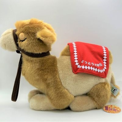 幸せの極楽ダ（らくだのぬいぐるみ）・大／鳥取市ふるさと物産館