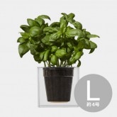 逆さま自動給水プランター 延長用ワイヤーフック付き Lサイズ (スカイ