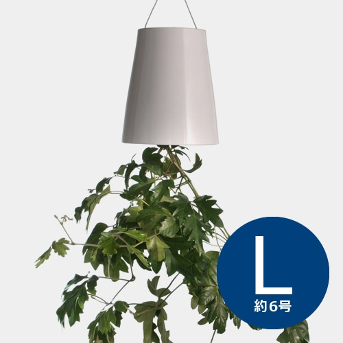 逆さま自動給水プランター 延長用ワイヤーフック付き Lサイズ (スカイ