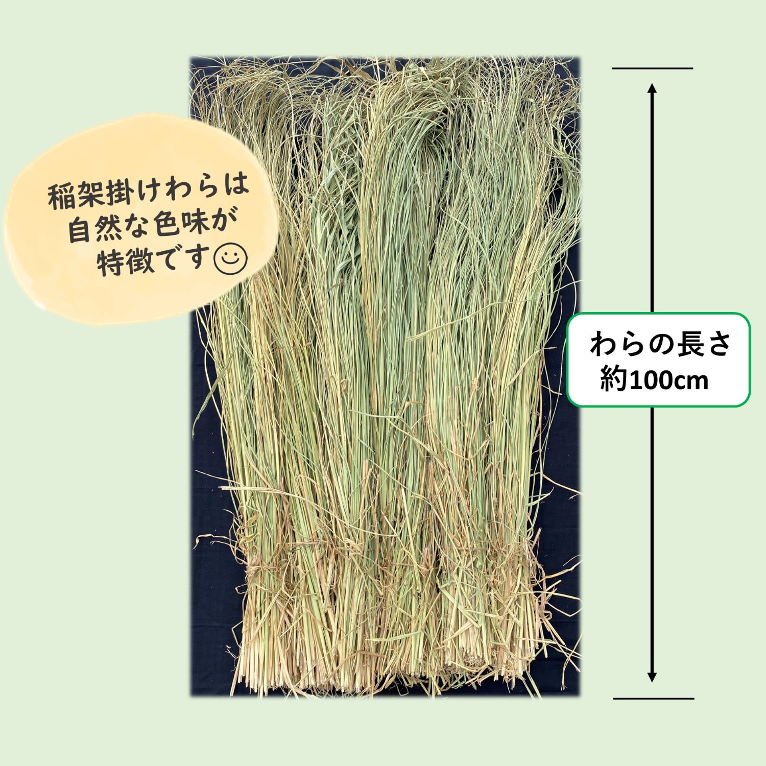 令和7年度産 伊勢錦の稲架掛けわら約8㎏ 新潟産の国産藁 しめ縄や工芸品に