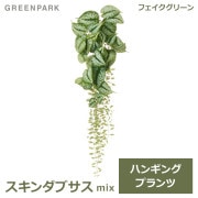 フェイクグリーン 観葉植物 フェイク 人工観葉植物 造花 植物