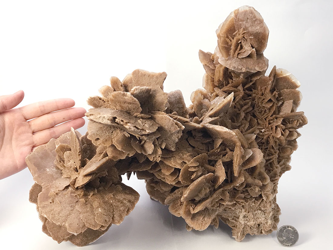 サハラ砂漠の石(薔薇の石) 【公式通販】