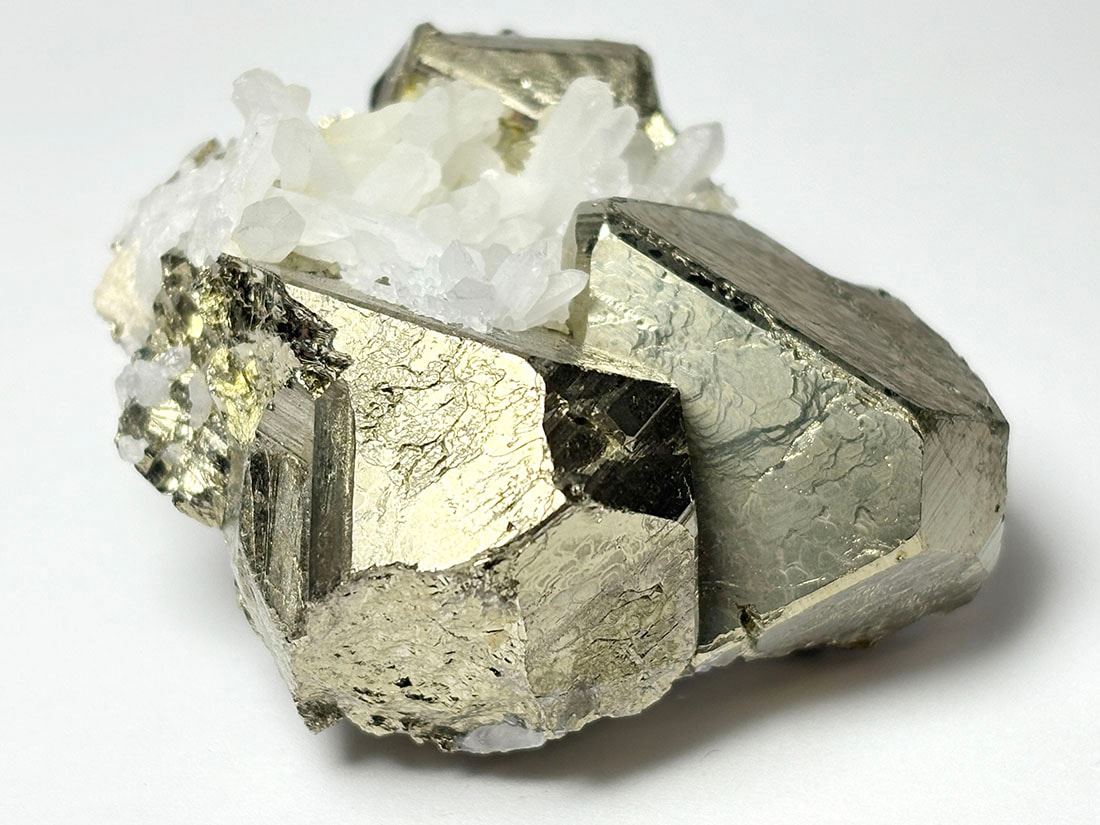 パイライト共生