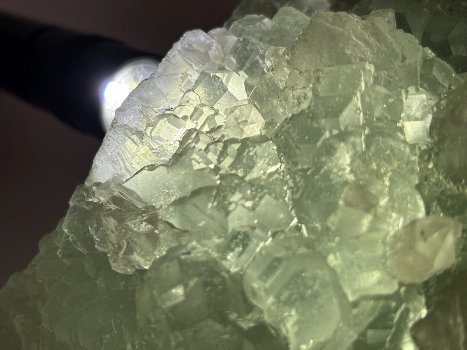 広東省産 大型 グリーンフローライト