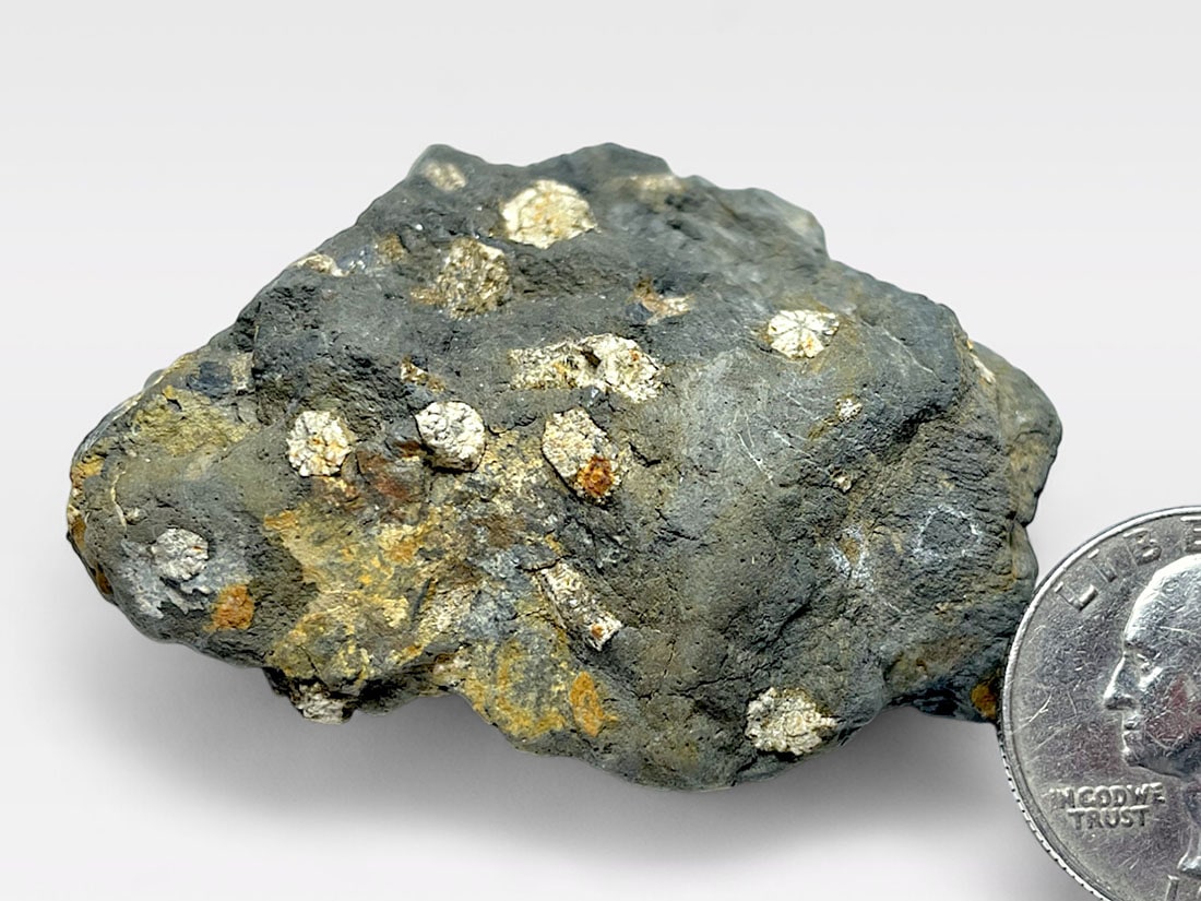 京都府亀岡市稗田野町湯ノ花 桜石 ( セラサイト )