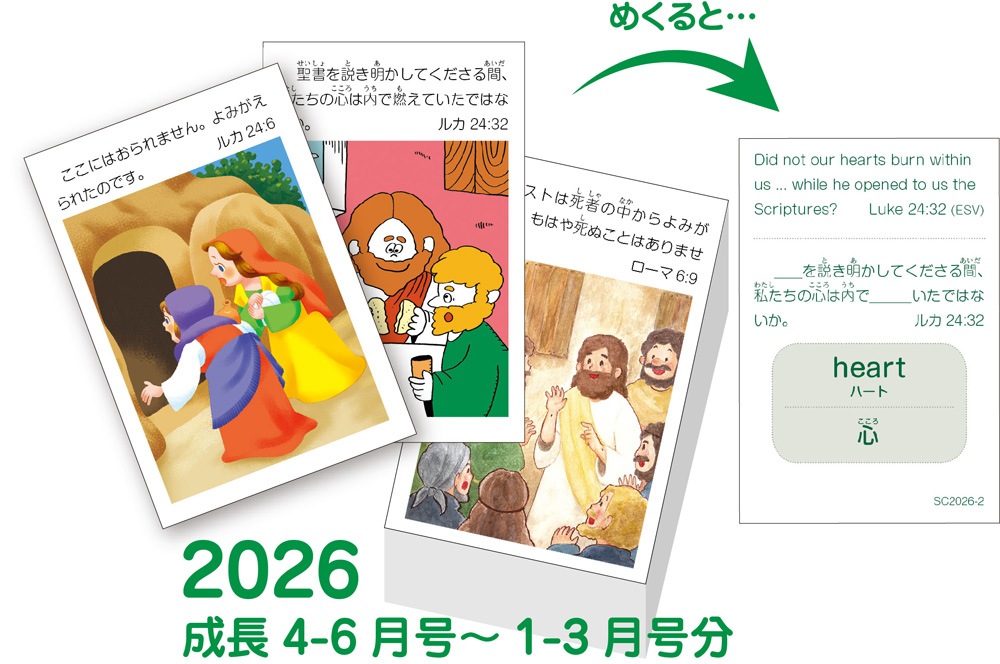豆カード2026（バイリンガル） 52週×1枚セット （60270）（いのちの