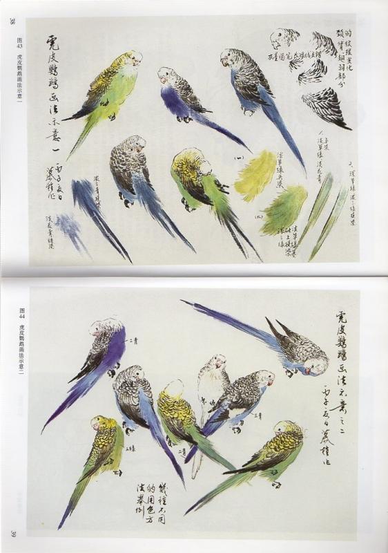 鳥編 写意花鳥画技法2 中国語墨絵の描き方 中国絵画/鸟类2