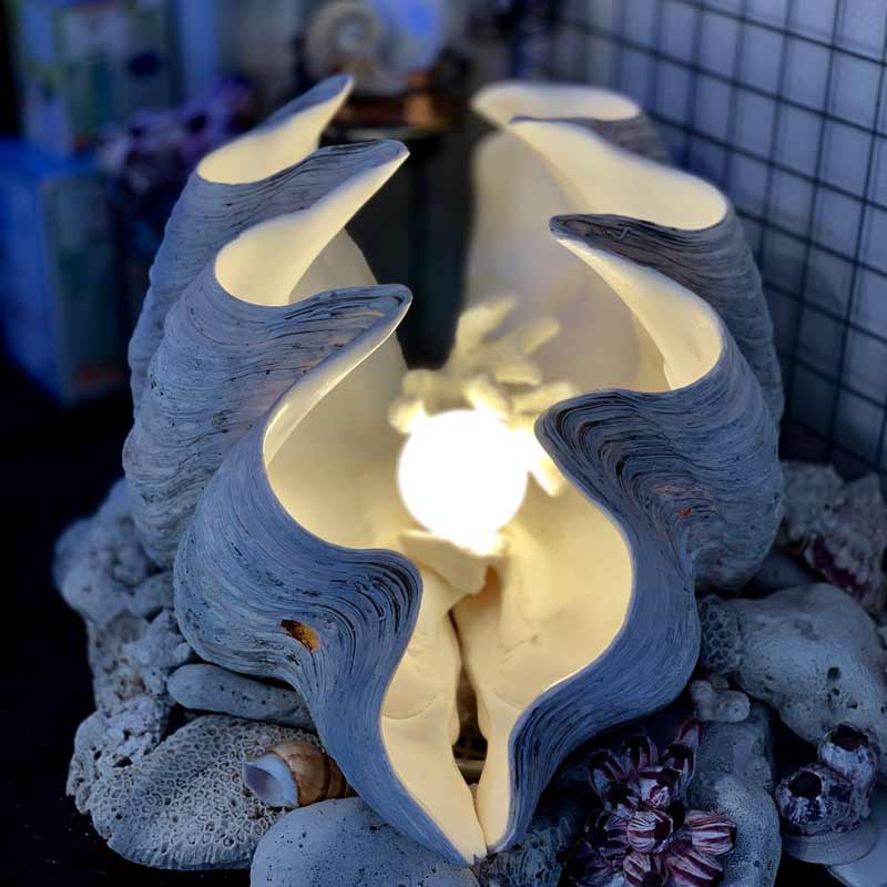 オオジャコガイ合わせ【お取り寄せ商品】 | すべての商品 | やどかり屋