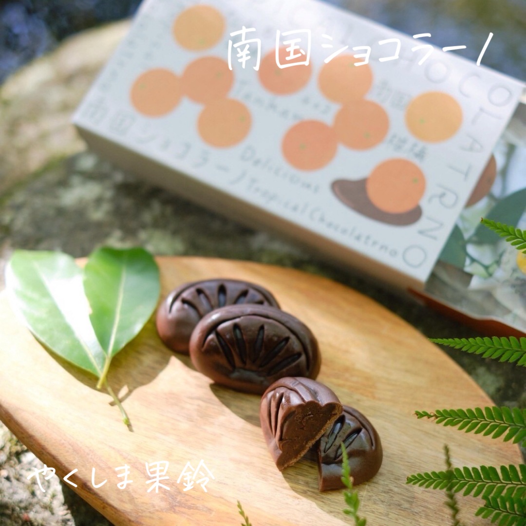 南国ショコラーノ』（6個入）TROPICAL CHOCORATRNO | 果鈴オリジナル