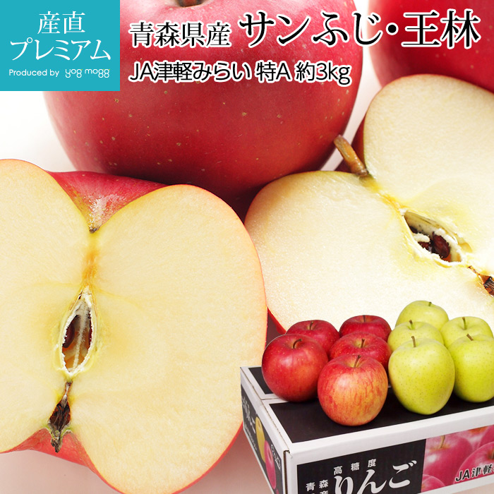 りんご サンふじ 王林 MIX 特A 約3kg 9～12玉 青森県産 産地直送<br