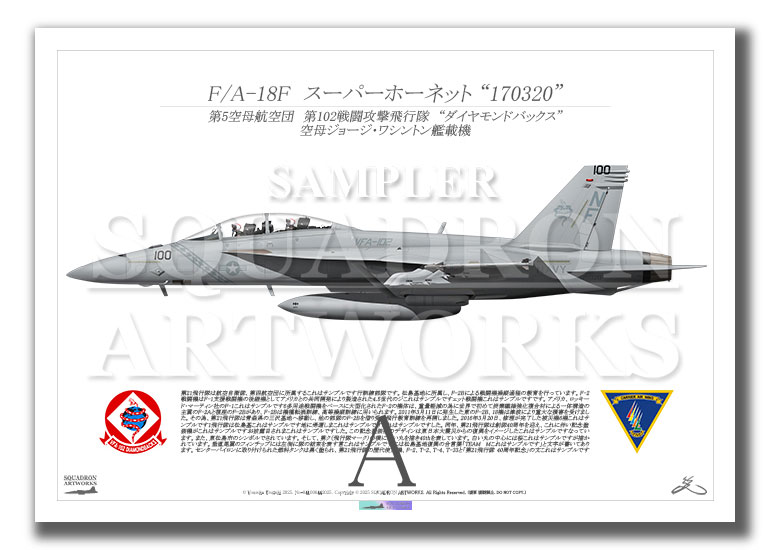 F/A-18F スーパーホーネット VFA-102 “ダイヤモンドバックス” 2025