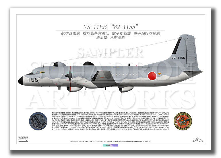 YS-11EB 航空戦術教導団 電子作戦群 電子飛行測定隊 “82-1155” （A2