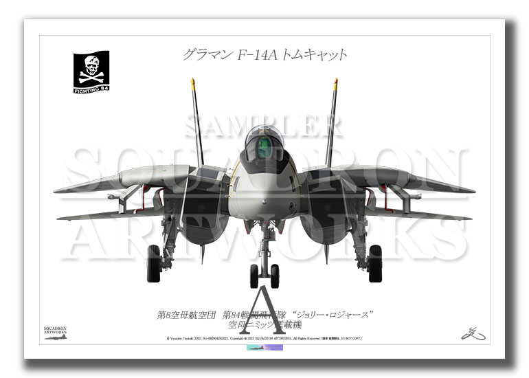 Front View” F-14A トムキャット VF-84 “ジョリーロジャース” (A2