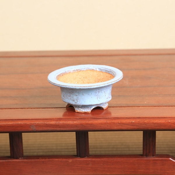 鉢：春嘉（はるよし） 12.0cm 【現】*資材 | 盆栽鉢・水盤,現代小鉢