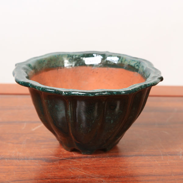 常滑作家：秀峰(しゅうほう) 18cm | 盆栽鉢・水盤,現代小鉢,秀峰