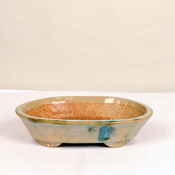 盆栽小鉢：東福寺 楕円鉢 16.7cm【現】【送料無料】 | 盆栽鉢・水盤