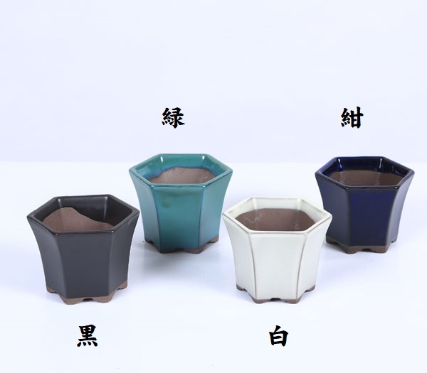 盆栽鉢：六角ケンガイ鉢 2.5号*資材 | 盆栽鉢・水盤,お買い得小鉢,色物