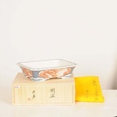 盆栽鉢・水盤,現代小鉢,春嘉 | 遊恵盆栽 本店