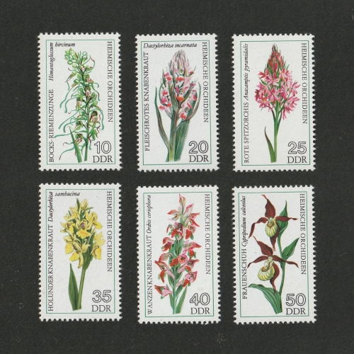 ドイツ | ☆外国切手アウトレット☆,植物,花・木 | 切手の専門店