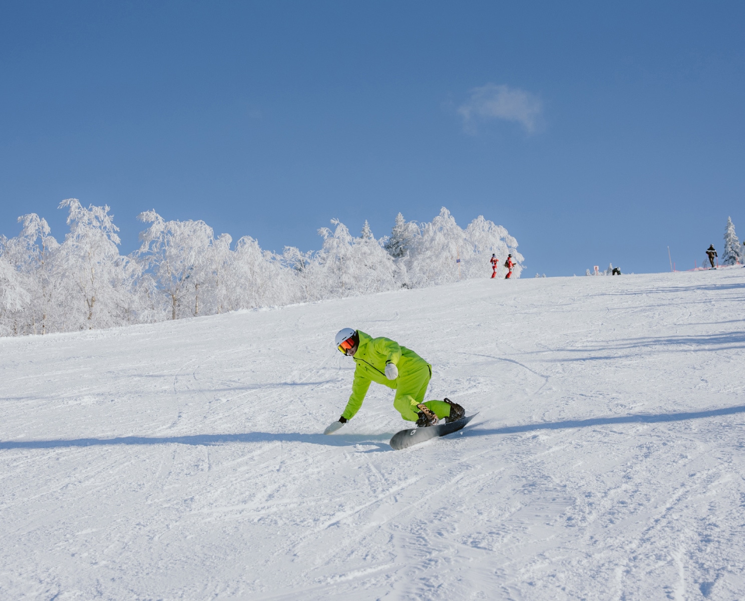 Curvy Cargo Pants / ZAM24OB04｜ZUICA オンラインショップ