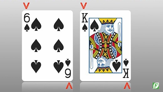 フェニックス・ラージインデックス｜カードマジック,デック類や