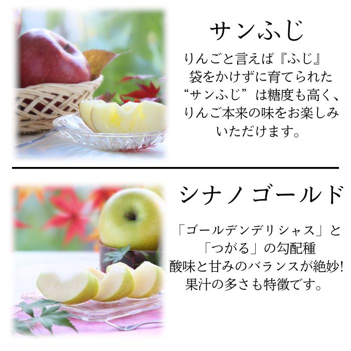 S326 りんご シナノゴールド＆サンふじ MIX 約2.5kg 6玉(各3玉入) 11月