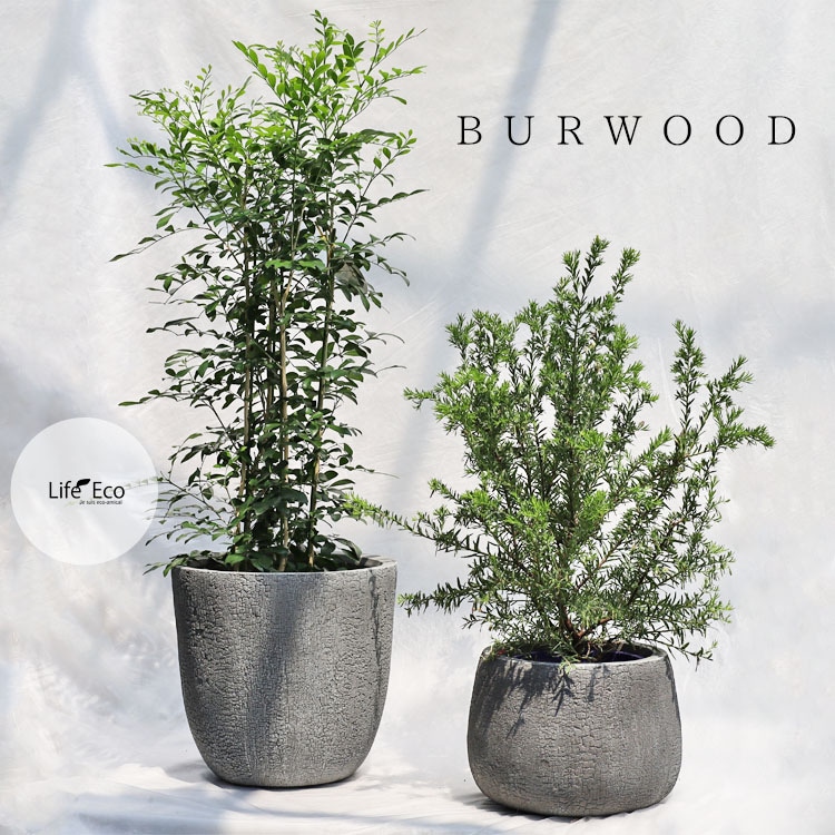 植木鉢 大型 ファイバークレイ製 バーウッド シャロー グレー（灰