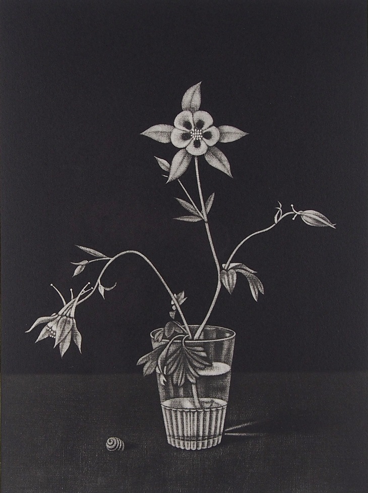 長谷川潔 「コップに挿したアンコリの花」 | | アトリエ・ブランカ