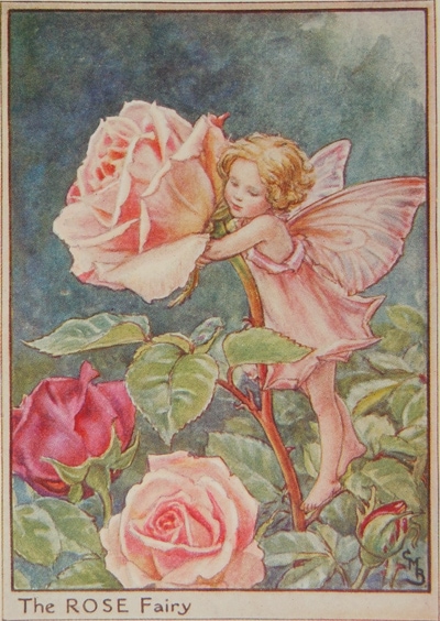 シシリー・メアリー・バーカー 挿画本「花の妖精・庭」 | | アトリエ